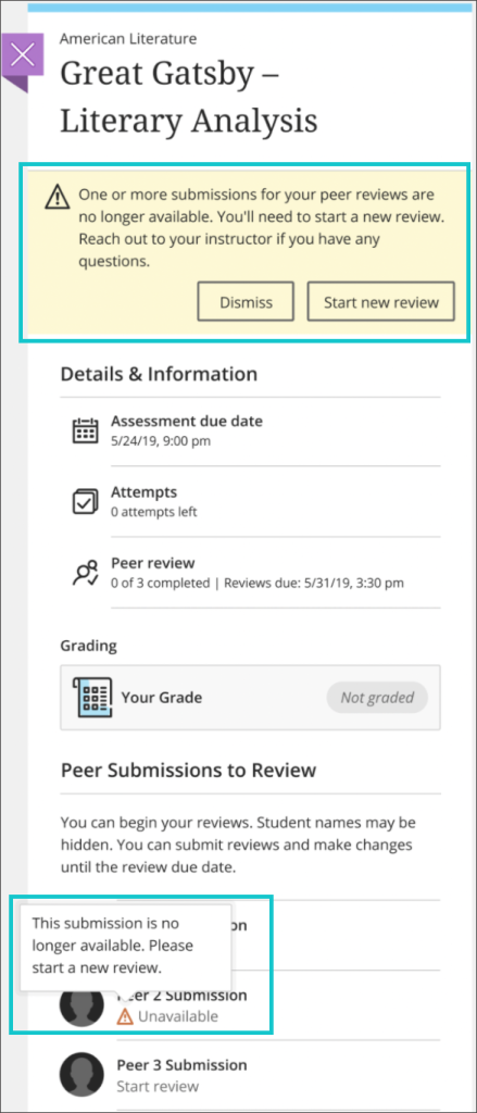 peer review assessment screenshot: deleted attempts