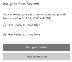 peer review assessment screenshot: what the student sees