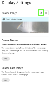 The image icon in the top right of the Display Settings page in Blackboard