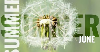 June 2018 Technology Update summer june postcard with white dandelion background