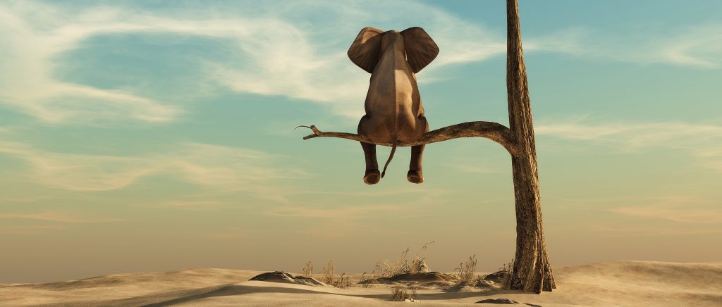 Elephant stands on thin branch of withered tree in surreal landscape. 