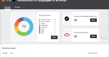 screenshot of an example ally report for course showing graph of types of issues in terms of percentages